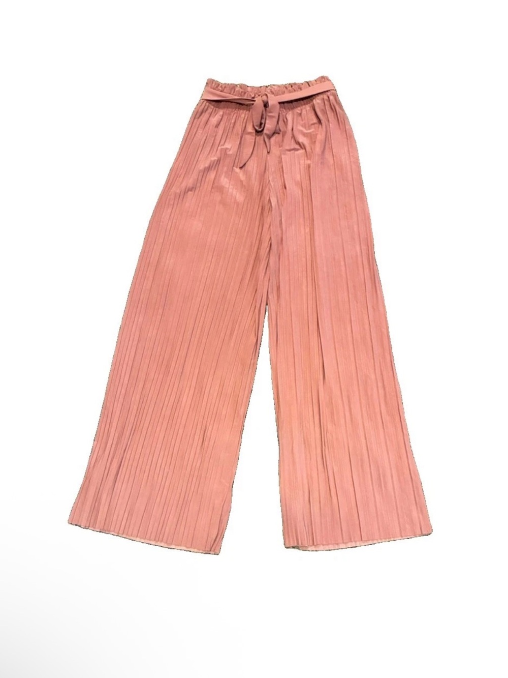 Pleated Wide-Leg Pants in Dusty Pink Womens Size 2